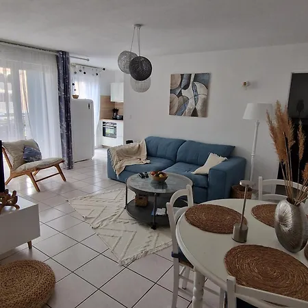 63 M2, Confort, Climatise. Saint-Cyprien (Pyrenees-Orientales)